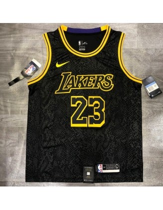 Lakers James 23